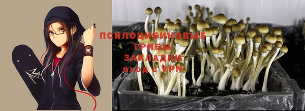 ALPHA-PVP Баксан